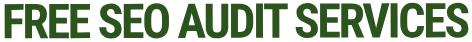 Free SEO Audit Services